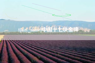 浮梁中国十七块金牌