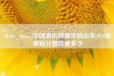 浮梁中国消防救援学院山东2020年录取分数线是多少