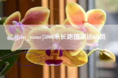 浮梁5000米长跑国家运动员