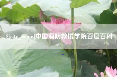 浮梁中国消防救援学院百度百科