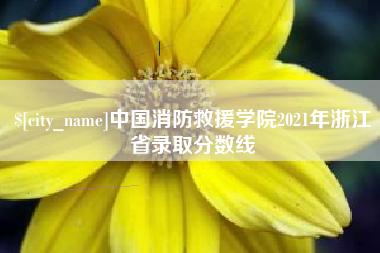 浮梁中国消防救援学院2021年浙江省录取分数线