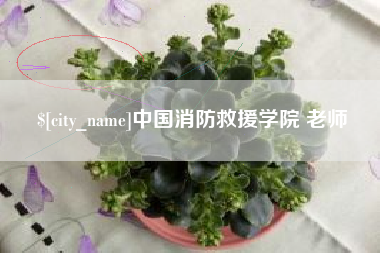 浮梁中国消防救援学院 老师