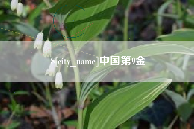 浮梁中国第9金