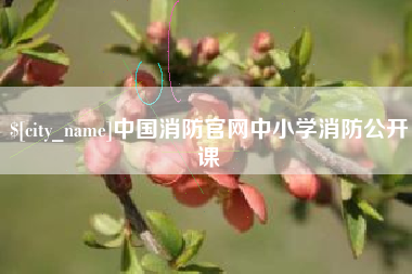浮梁中国消防官网中小学消防公开课