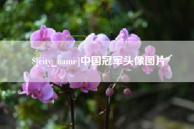 浮梁中国冠军头像图片