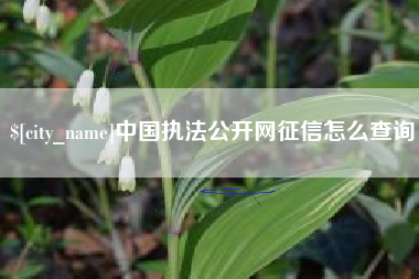 浮梁中国执法公开网征信怎么查询