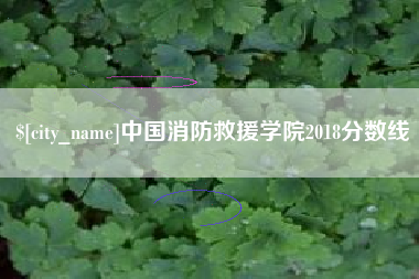 浮梁中国消防救援学院2018分数线