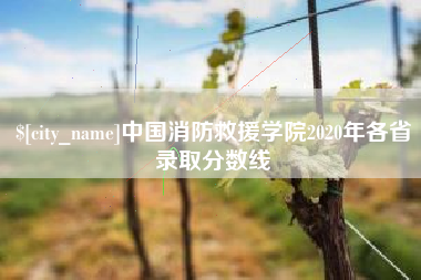 浮梁中国消防救援学院2020年各省录取分数线