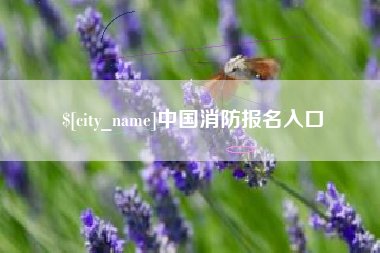 浮梁中国消防报名入口