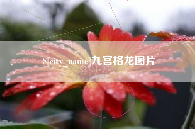 浮梁九宫格龙图片