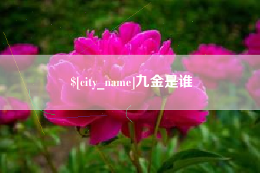浮梁九金是谁