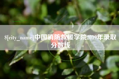 浮梁中国消防救援学院2019年录取分数线