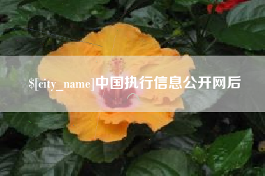 浮梁中国执行信息公开网后