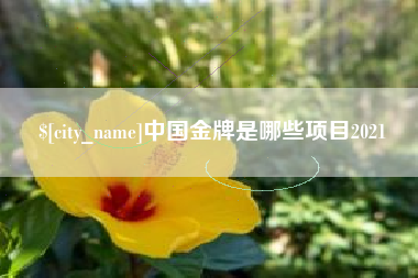 浮梁中国金牌是哪些项目2021
