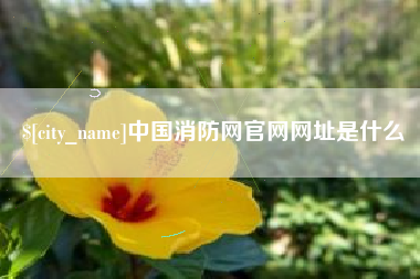 浮梁中国消防网官网网址是什么