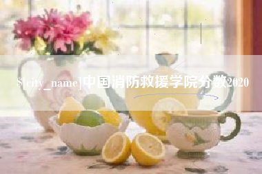 浮梁中国消防救援学院分数2020