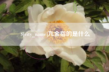 浮梁九金指的是什么