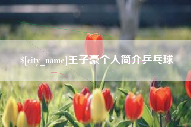 浮梁王子豪个人简介乒乓球