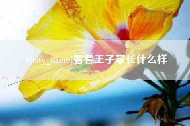 浮梁看看王子豪长什么样
