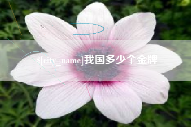 浮梁我国多少个金牌