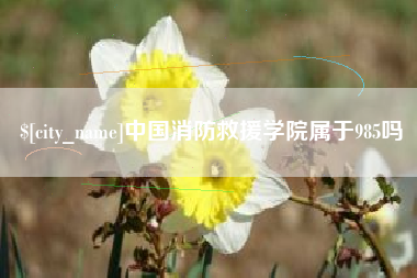 浮梁中国消防救援学院属于985吗