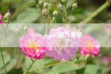浮梁第九金是