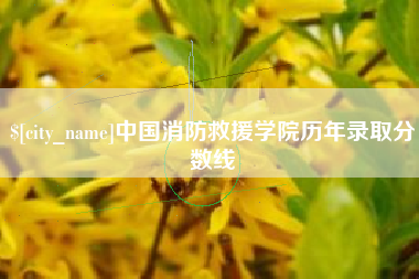 浮梁中国消防救援学院历年录取分数线