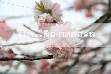 浮梁11月9日消防日全称