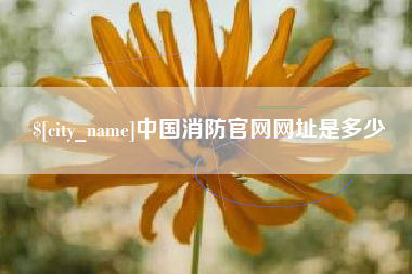 浮梁中国消防官网网址是多少