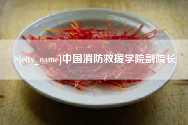 浮梁中国消防救援学院副院长