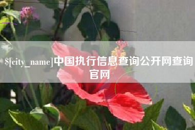 浮梁中国执行信息查询公开网查询官网