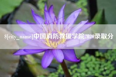 浮梁中国消防救援学院2020录取分