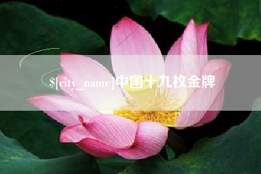 浮梁中国十九枚金牌