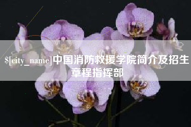 浮梁中国消防救援学院简介及招生章程指挥部