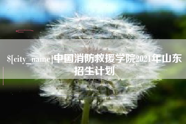 浮梁中国消防救援学院2021年山东招生计划