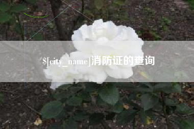 浮梁消防证的查询