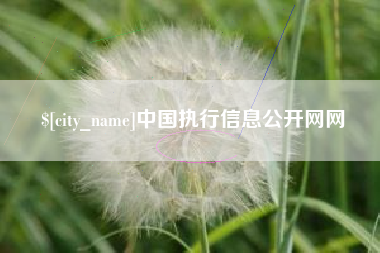 浮梁中国执行信息公开网网