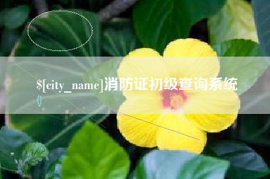 浮梁消防证初级查询系统