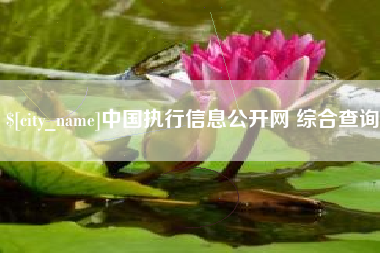 浮梁中国执行信息公开网 综合查询