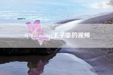 浮梁王子豪的视频