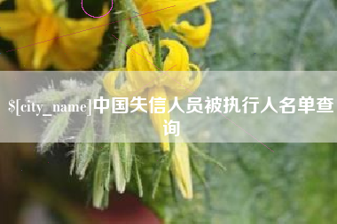浮梁中国失信人员被执行人名单查询