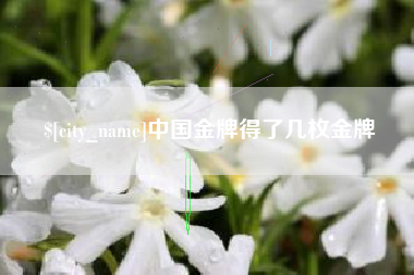 浮梁中国金牌得了几枚金牌