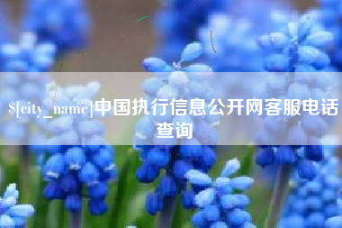 浮梁中国执行信息公开网客服电话查询