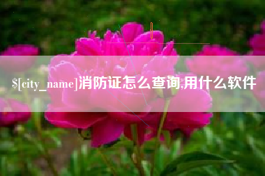 浮梁消防证怎么查询,用什么软件