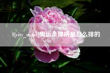 浮梁奥运金牌榜是怎么排的
