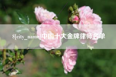 浮梁中国十大金牌律师名单