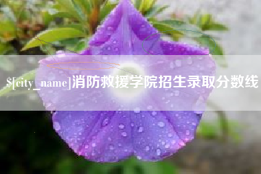 浮梁消防救援学院招生录取分数线