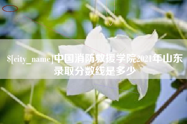 浮梁中国消防救援学院2021年山东录取分数线是多少