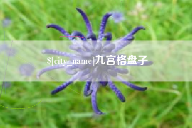 浮梁九宫格盘子