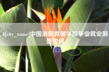 浮梁中国消防救援学院毕业就业前景如何